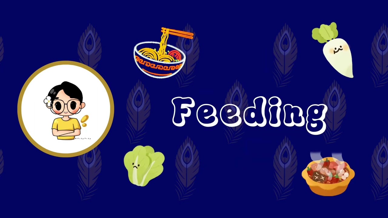 Lesson 20 - Warm blooded animals