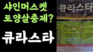큐라스타입제
