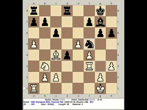 Djukic, Nikola vs Amini, Habibullah | 44th Chess Olympiad 2022, Chennai India