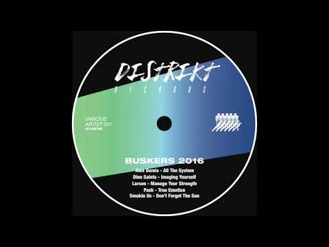 DINO SAINTS - IMAGING YOURSELF_V.A. BUSKERS 2016 [DISTRIKT RECORDS]