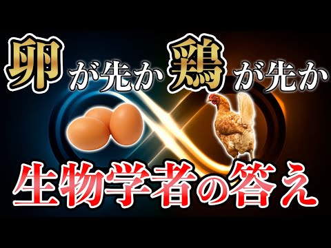 鶏と卵: どちらが先ですか?研究者がついに答えを出す