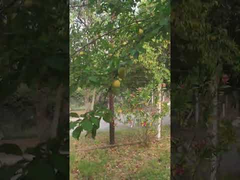 Anisacate, Cordoba #anisacate #cordoba #argentina