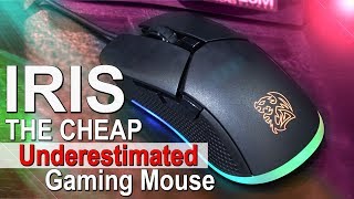 I Totally Underestimated this Cheap RGB Mouse! -- Tt eSPORTS Iris