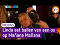 Linda breekt UIT! #35  Linda eet stierenkloten op Manana Manana festival