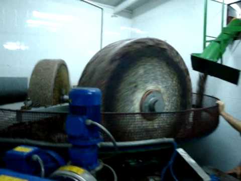 Olive oil Production in Ortona and Francavilla al Mare