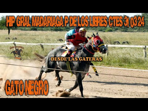 GATO NEGRO - CLASICO CENTRAL HIPODROMO GENERAL MADARIAGA, PASO DE LOS LIBRES, CORRIENTES 31.03.2024