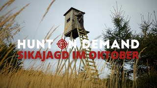 Sikajagd im Oktober 🍂 von @jagenNRW
