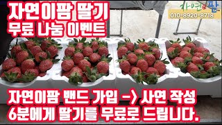 2020딸기 신선한 딸기 맛있는 먹방을 위하여 자연이팜 딸기 무료 나눔 합니다!! 1분당 500g 1팩 6분…
