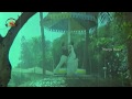 Chinuku Vachi Thakala Video Song Muchataga Mugguru Telugu Movie Chandra Mohan Mango Music
