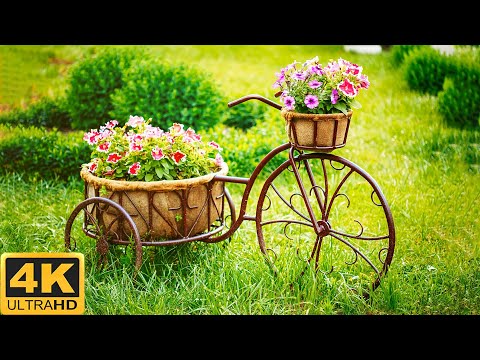 Amazing Colors of Spring Flowers 🌼 4K Nature Relax Video with Nature Sounds🌼Scenic Relaxation Film