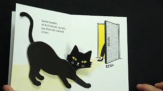Video of Chat Noir - Immediate stock!