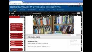 Blackboard navigation tips video