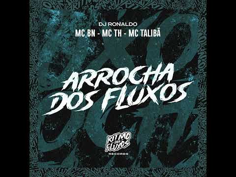 ARROCHA DOS FLUXOS #funk #music #passinho #funkmusic #bregadeira #bailedefavela