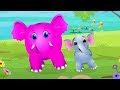 Baby Elephant Song | Nursery Rhymes And Songs For Children