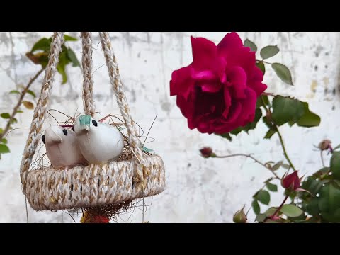NAVITA HOME GARDEN is live! Beautiful Garden View|Mostly Rose Flowers|Hanging planter|jhula