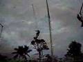 The Amazing Flying Patricia