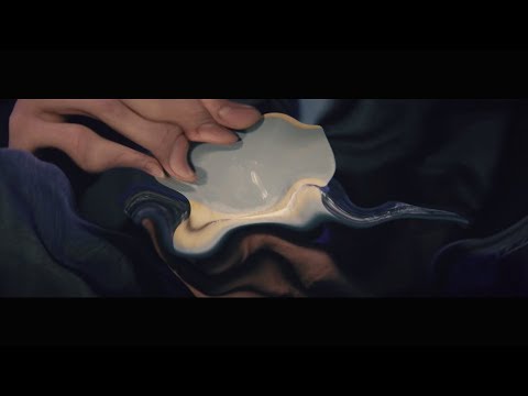 FLASHBACK (Official Video) | GREYVITY