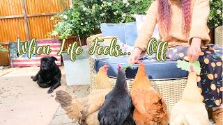 🌿NEW🌿 CLEAN WITH ME When Life Feels Chaotic 🕯️ | Realistic Reset + Homemaking Motivation
