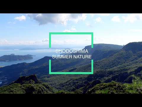 【小豆島町】夏の自然 SUMMER NATURE