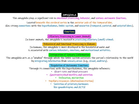 Amygdala. Chapter 59 part 7. Guyton and Hall Physiology.
