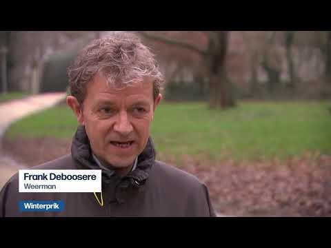 VRT | Het journaal - zaterdag 6 februari 2021 om 18:04