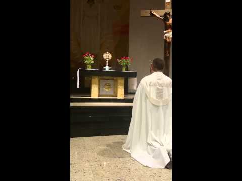 Nós te adoramos, ó Cristo!