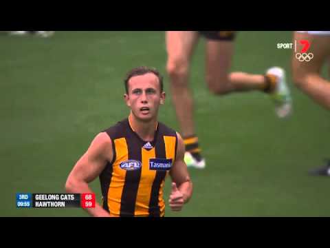 Desperate Hodge sparks Hawks - AFL
