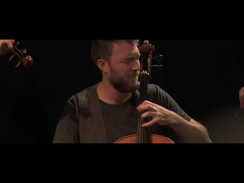 The Fretless - LIVE From the Art Farm - Holton Alan Moore's