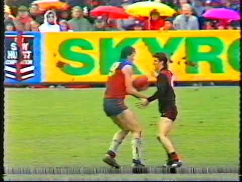 1989 Essendon v Fitzroy - Windy Hill