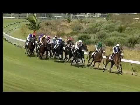 2017.01.28 Majorca Stakes (RSA) - Snowdance