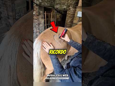 Ha detto ADDIO al suo CAVALLO💔🥺 #shorts