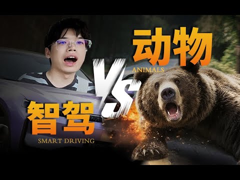 智驾 VS 野生动物挑战！结果很神奇