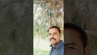 tum kaha se aai ho kis nagar ko jaogi #music #song