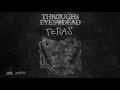 Through The Eyes Of The Dead - Teras