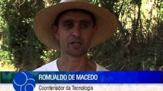Miniatura do vídeo