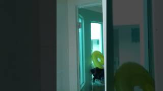 Pardo Gatão x Comendadora CRB