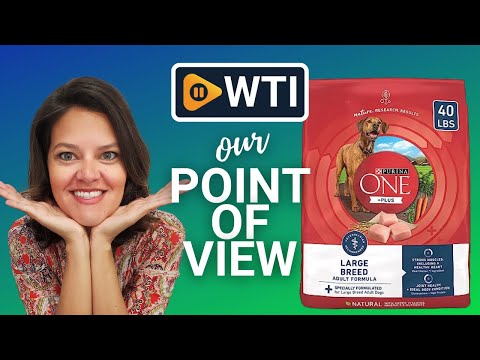 Purina ONE Plus Adult Dog Food | Our Point Of View