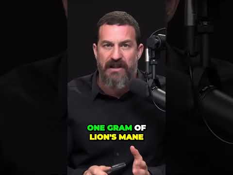 Andrew Huberman- The science of using Lion Mane & Chaga Functional Mushrooms