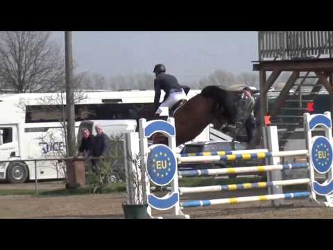 Cellestial-Levisto mare * 2010 for sale