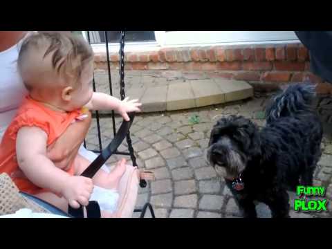 Babies Laughing Hysterically at Dogs Compilation