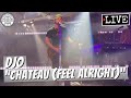 Djo "Chateau (Feel Alright)" LIVE