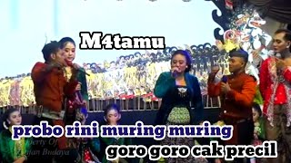 Download lagu Parah lucu banget. Probo rini tigawe emosi cak percil. Gawe geger sak panggung mp3 Download lagu Parah lucu banget. Probo rini tigawe emosi cak percil. Gawe geger sak panggung mp3