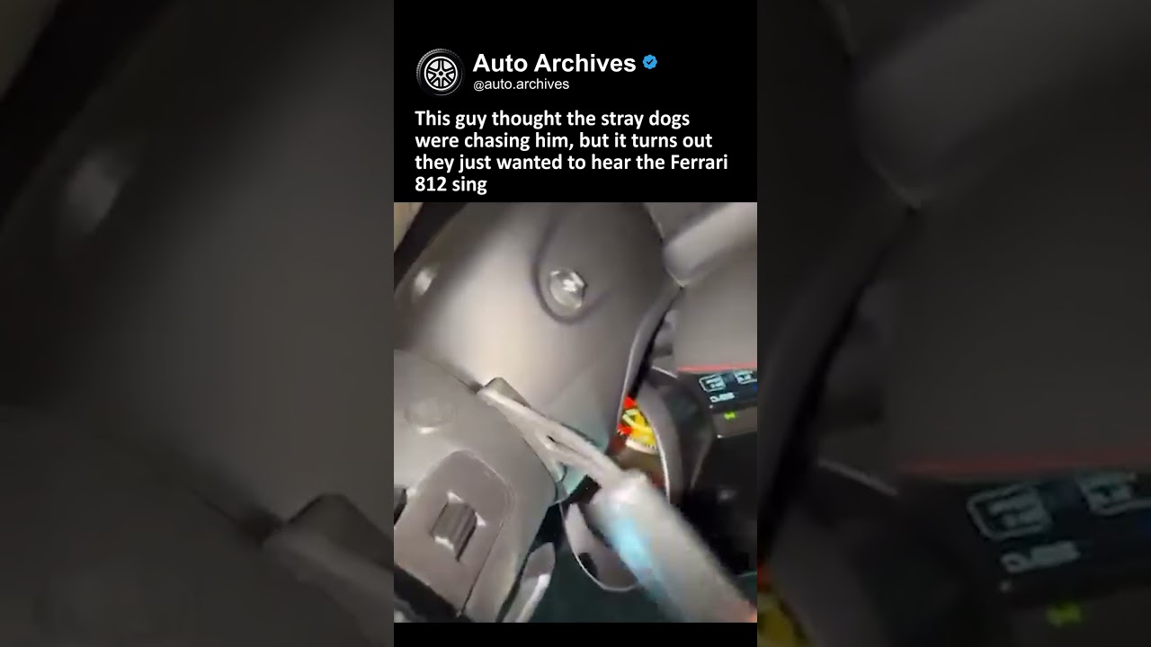 페라리 812 차주, 지하도로 쫓겨나