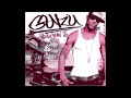 Guru-Hall Of Fame(C&S)