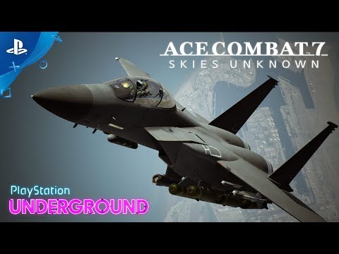 Ace Combat 7: Skies Unknown at the best price