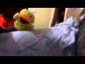 Carly Re Jepson Call Me Maybe By The Muppets