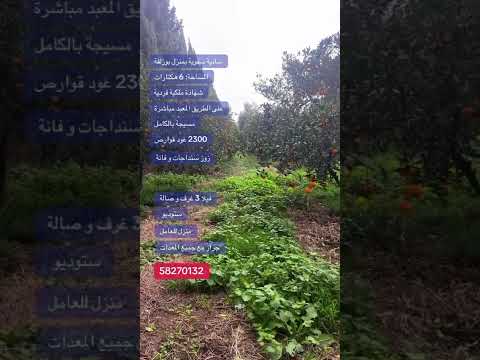 Ferme agricole clé en main à Menzel Bouzelfa – 6 hectares