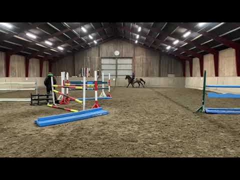 Flora Sem (120-130) Dec 2020 Springkurs mit Michael Aabo