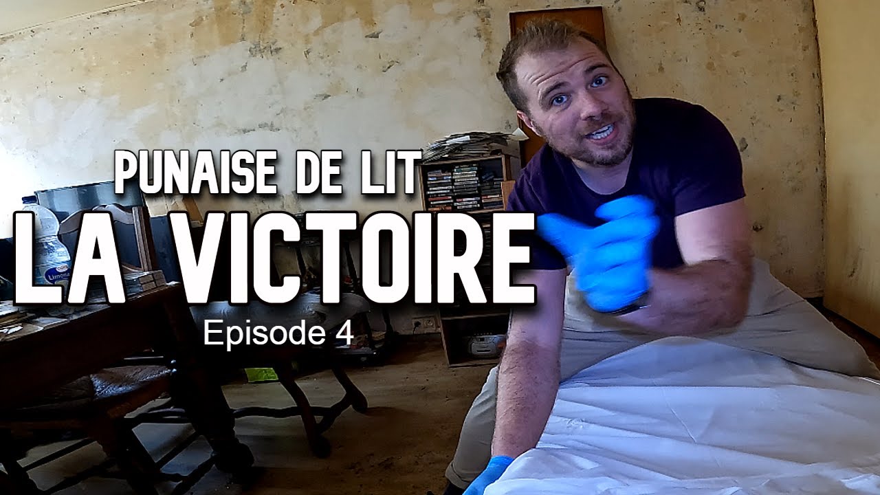 Housse anti punaise de lit pour une nuit sans cauchemar !