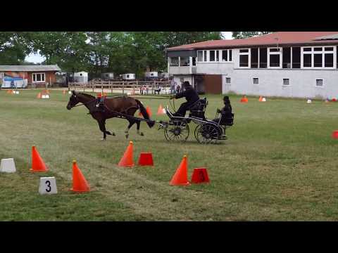 Fahrturnier Alfhausen 25.5.2019